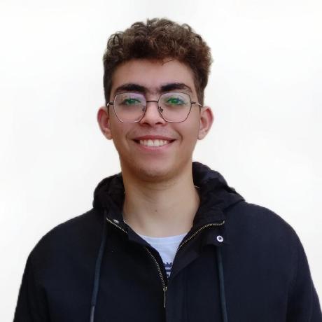 Amr Mahmoud
